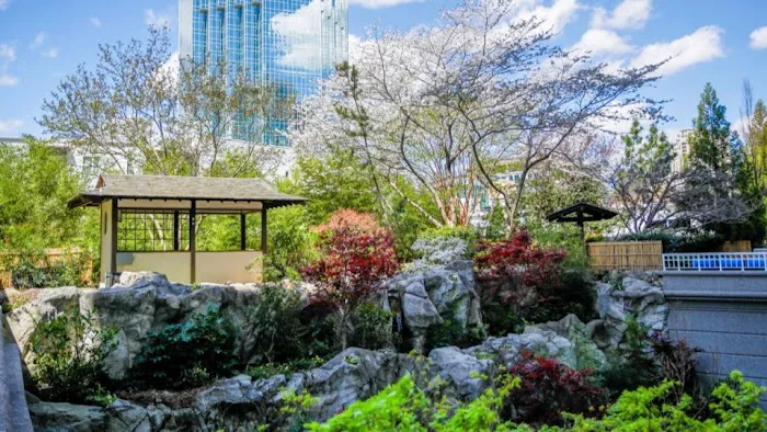 Grand Hyatt Atlanta in Buckhead 5