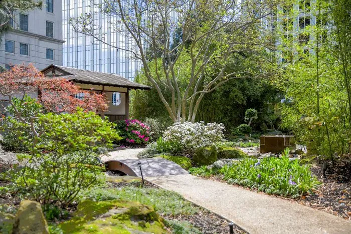 Grand Hyatt Atlanta in Buckhead 5