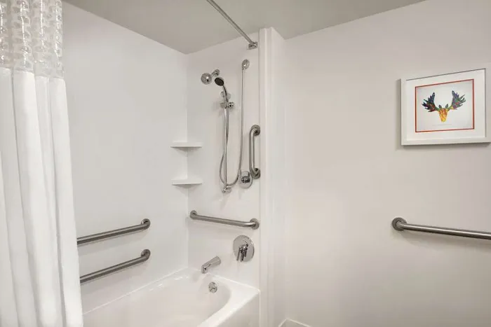 Hampton Inn Atlanta-Buckhead 5