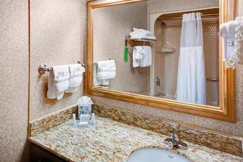 TownePlace Suites Atlanta Buckhead 5