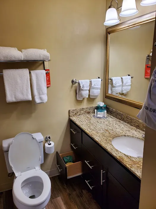 TownePlace Suites Atlanta Buckhead 5