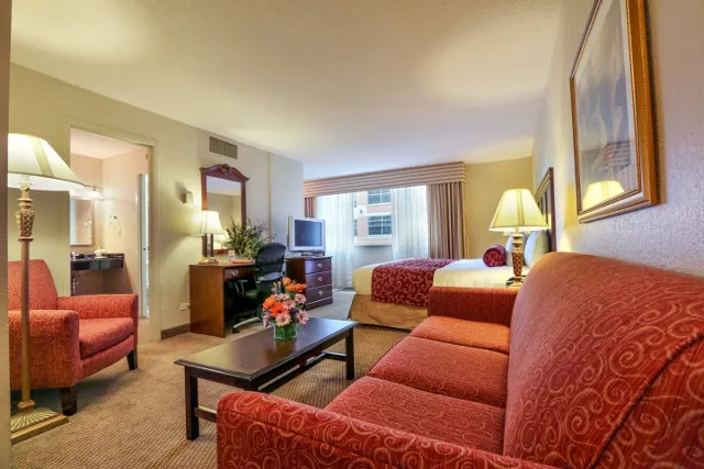 Regency Suites Hotel 5