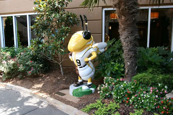 Hampton Inn Atlanta-Georgia Tech-Downtown 5
