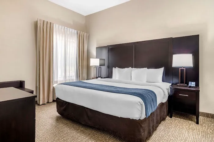 Comfort Inn & Suites Atlanta/Smyrna 5