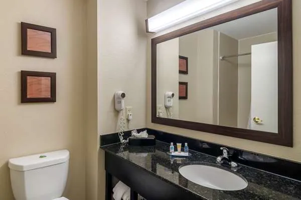 Comfort Inn & Suites Atlanta/Smyrna 5