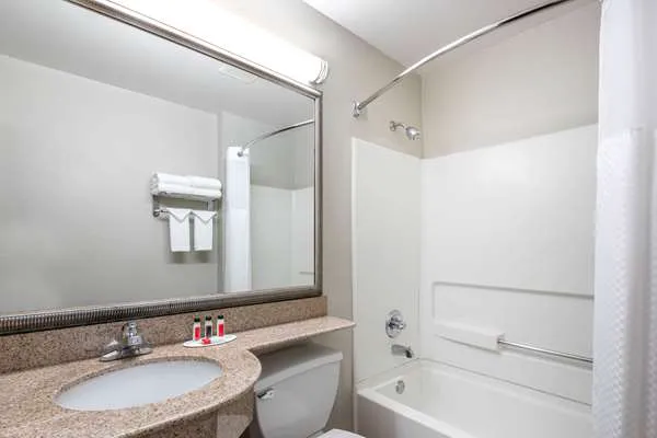 Microtel Inn & Suites by Wyndham Atlanta/Buckhead Area 4