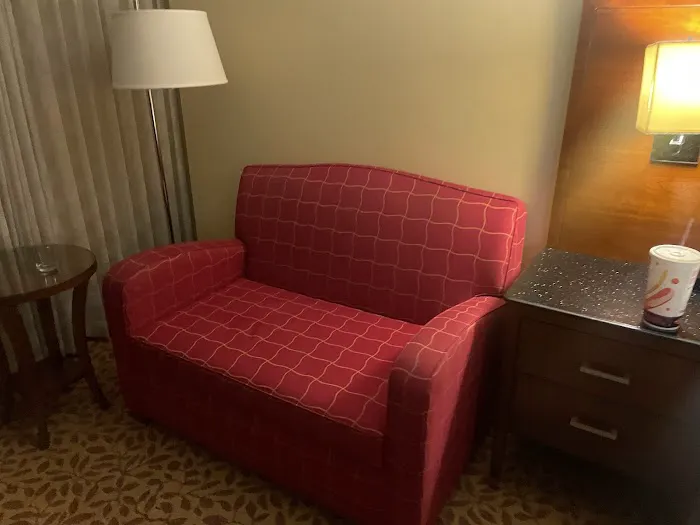 Wyndham Atlanta Buckhead Hotel & Conference Center 5