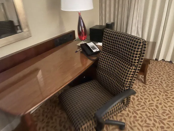 Wyndham Atlanta Buckhead Hotel & Conference Center 5