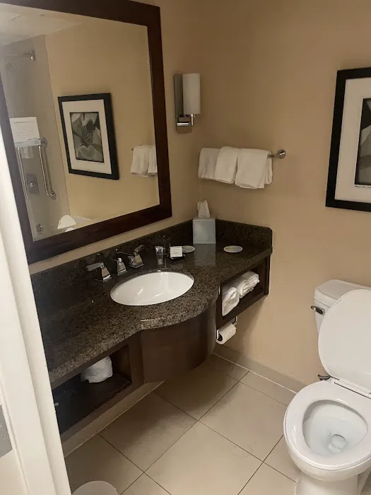 Wyndham Atlanta Buckhead Hotel & Conference Center 5