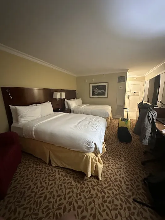Wyndham Atlanta Buckhead Hotel & Conference Center 5