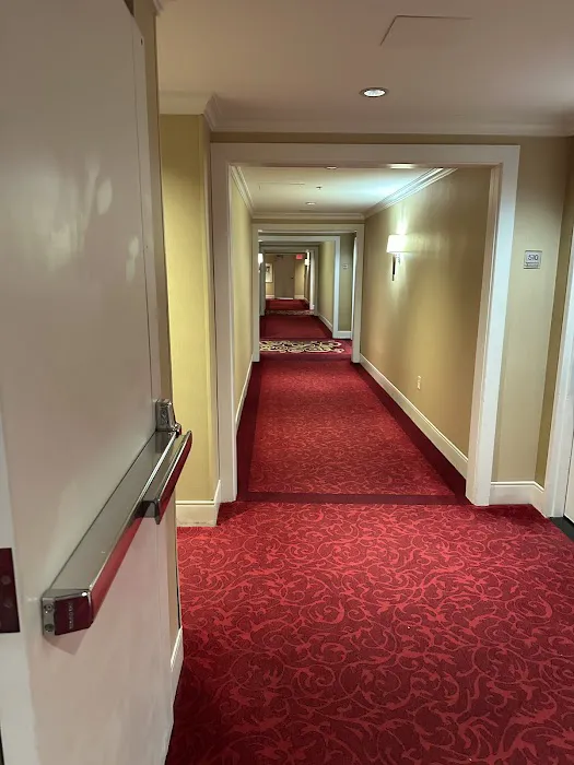 Wyndham Atlanta Buckhead Hotel & Conference Center 5