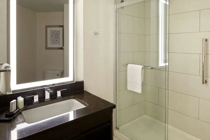 Embassy Suites by Hilton Atlanta Galleria 5