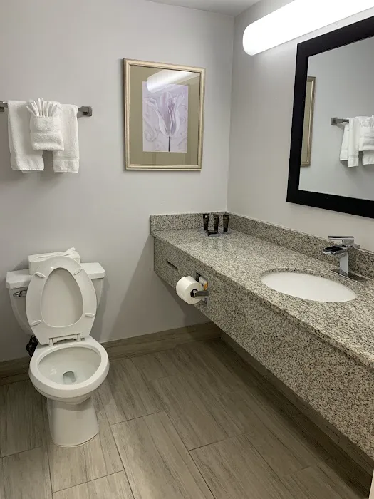 Wingate by Wyndham Atlanta Galleria/Ballpark 4