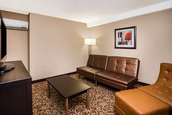 Wingate by Wyndham Atlanta Galleria/Ballpark 4