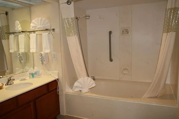 Hampton Inn & Suites Atlanta-Galleria 5
