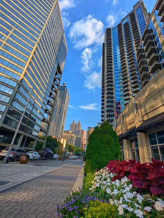 Twelve Downtown, Autograph Collection 5