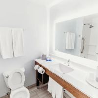 Holiday Inn Express Atlanta NE - I-85 Clairmont by IHG ico