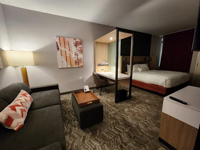 SpringHill Suites Atlanta Northwest 5