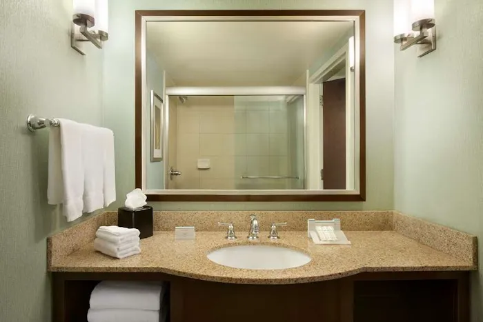 Hilton Garden Inn Atlanta Downtown 5