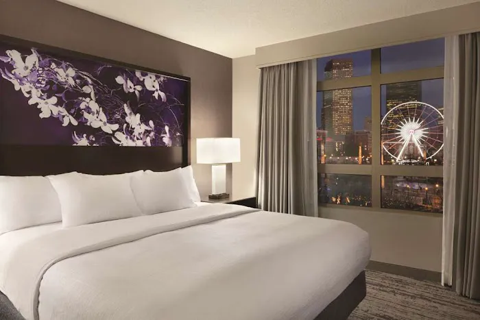 Embassy Suites by Hilton Atlanta at Centennial Olympic Park 5