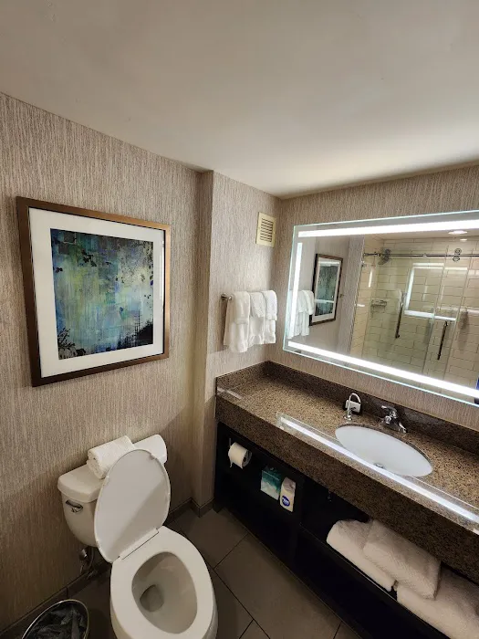 Embassy Suites by Hilton Atlanta at Centennial Olympic Park 5