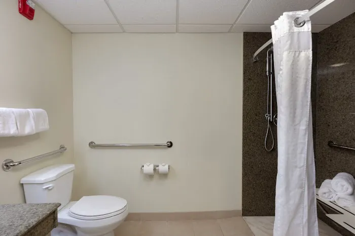 Holiday Inn Express & Suites Atlanta Downtown by IHG 5