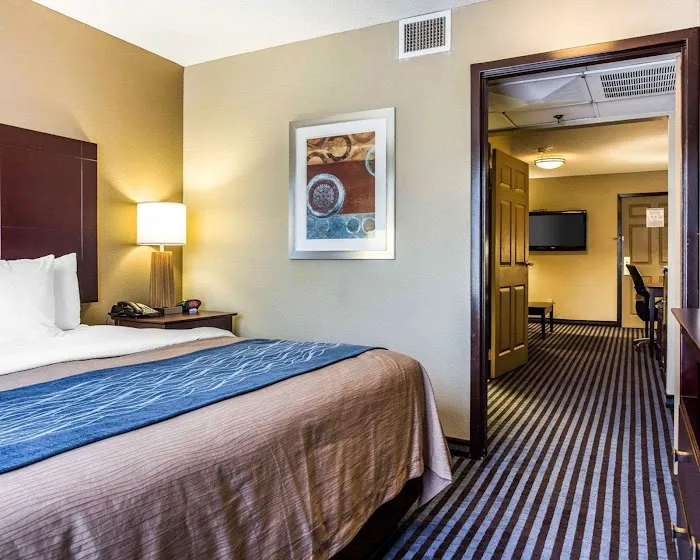 Comfort Inn & Suites Ballpark Area 4