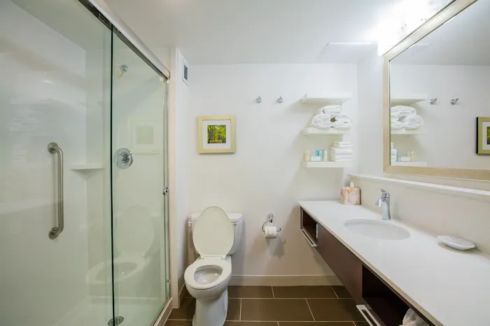 Hampton Inn Atlanta-Northlake 5