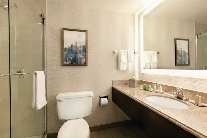 DoubleTree by Hilton Hotel Atlanta - Northlake 5