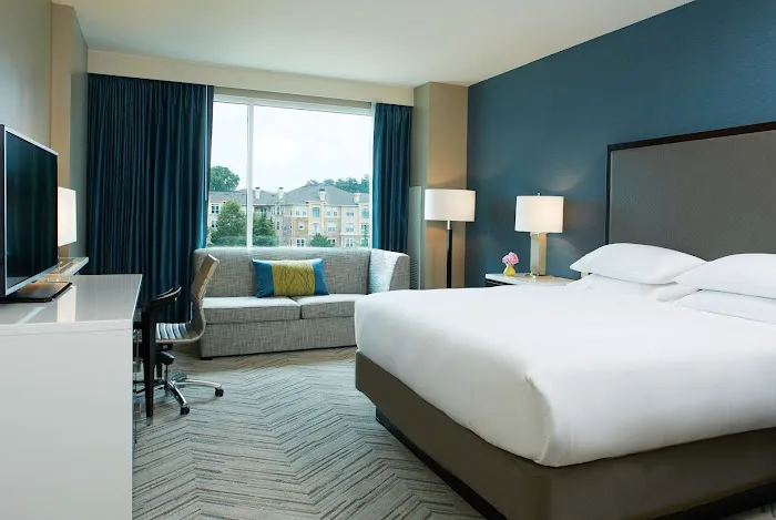 Hyatt Regency Atlanta Perimeter at Villa Christina 5