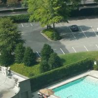 The Westin Atlanta Perimeter North ico