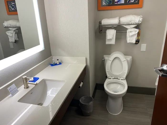 Holiday Inn Express & Suites Atlanta N-Perimeter Mall Area, an IHG Hotel 5