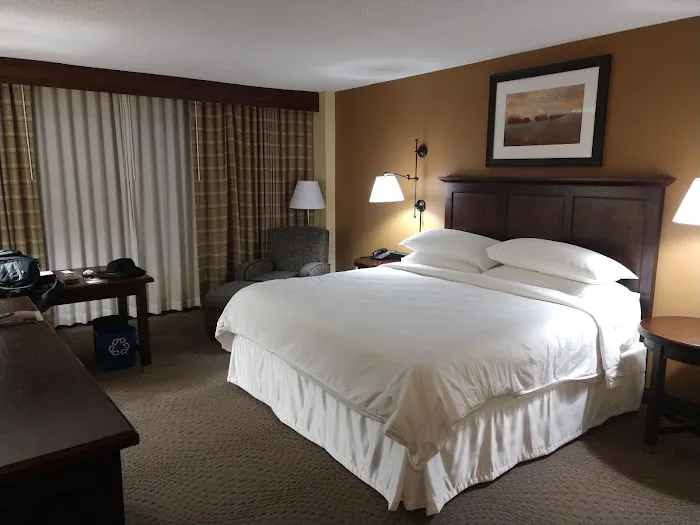 Sheraton Atlanta Perimeter North Hotel 4