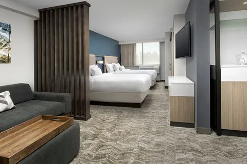 SpringHill Suites Atlanta Perimeter Center 5