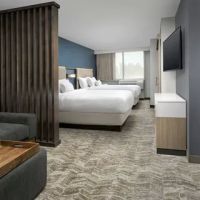 SpringHill Suites Atlanta Perimeter Center ico