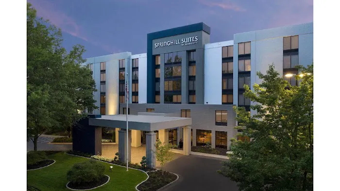 SpringHill Suites Atlanta Perimeter Center 5