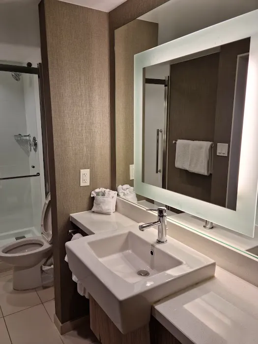 SpringHill Suites Atlanta Perimeter Center 5