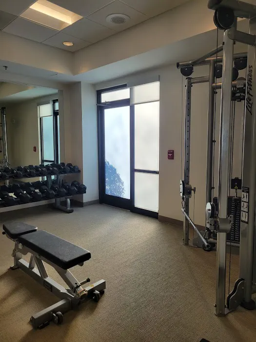 SpringHill Suites Atlanta Perimeter Center 5
