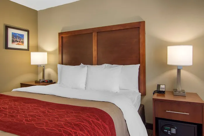 Comfort Inn Sandy Springs - Perimeter 4