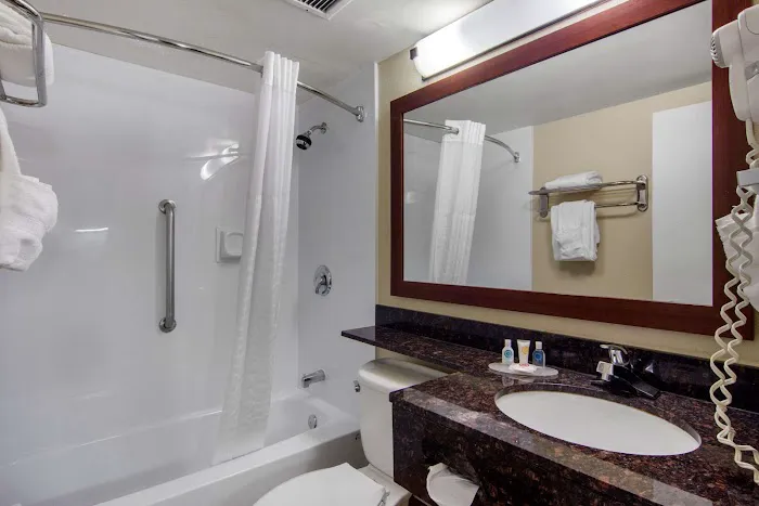 Comfort Inn Sandy Springs - Perimeter 4