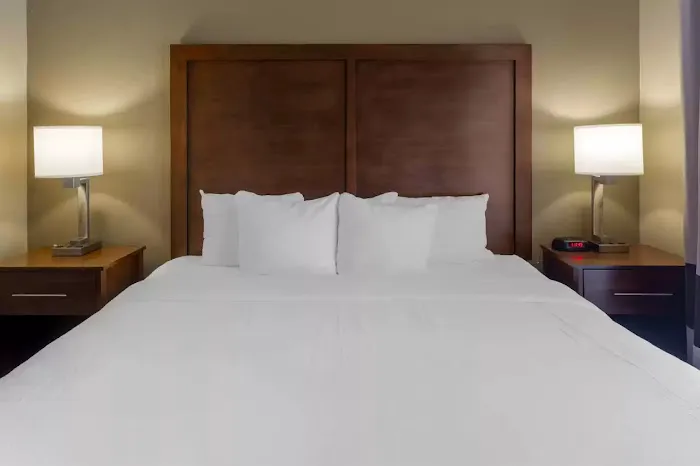 Comfort Inn & Suites Peachtree Corners 4