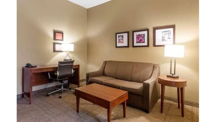 Comfort Inn & Suites Peachtree Corners 4