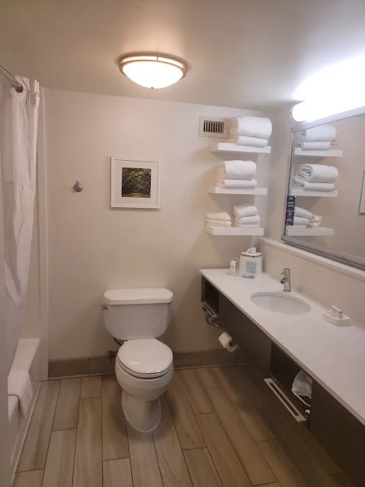 Hampton Inn & Suites Atlanta/Duluth/Gwinnett County 5