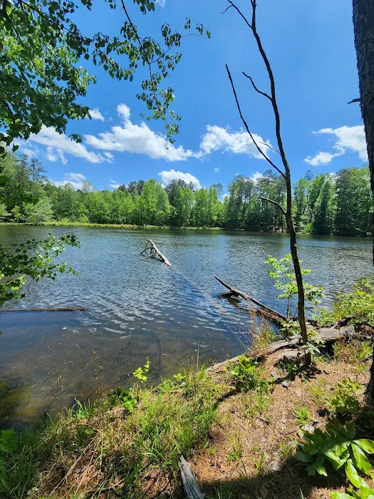 Ramsden Lake 4