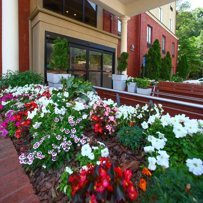 Holiday Inn Express & Suites Atlanta-Emory University Area by IHG 4