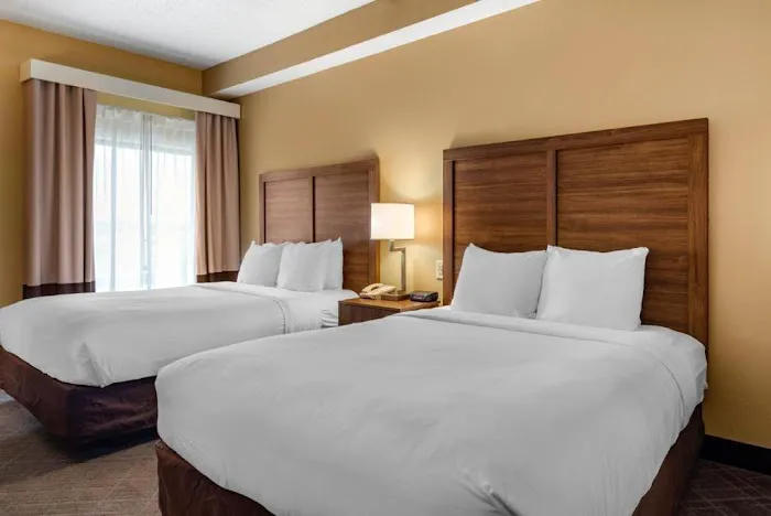 Comfort Inn & Suites at Stone Mountain 4