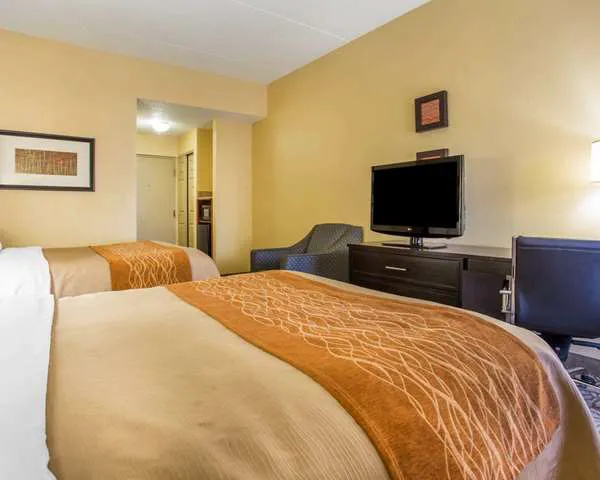 Comfort Inn & Suites at Stone Mountain 4
