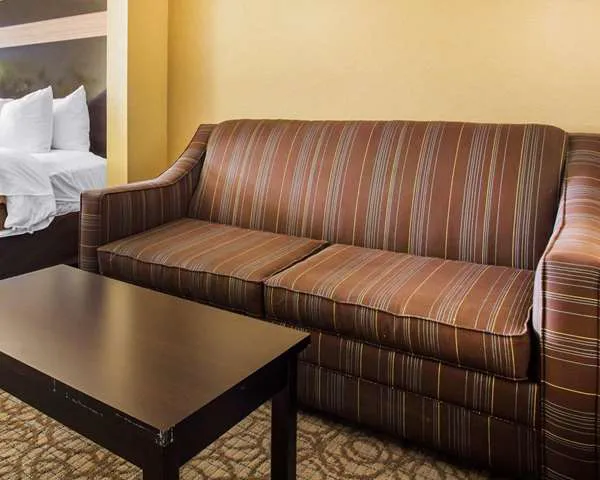 Comfort Inn & Suites at Stone Mountain 4
