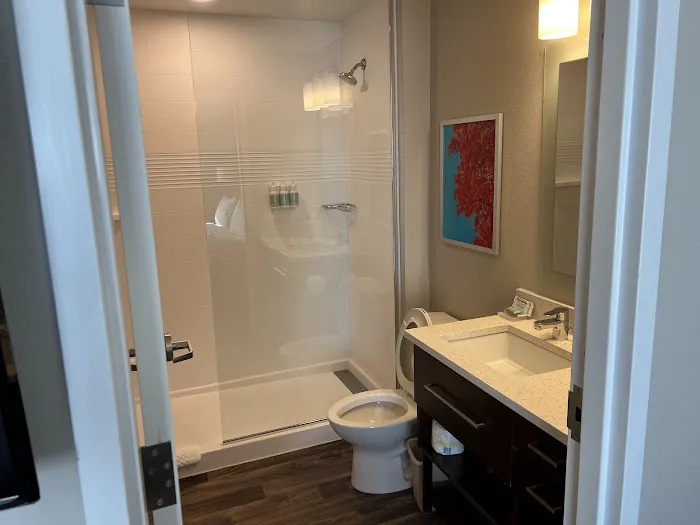 TownePlace Suites Atlanta Lawrenceville 4