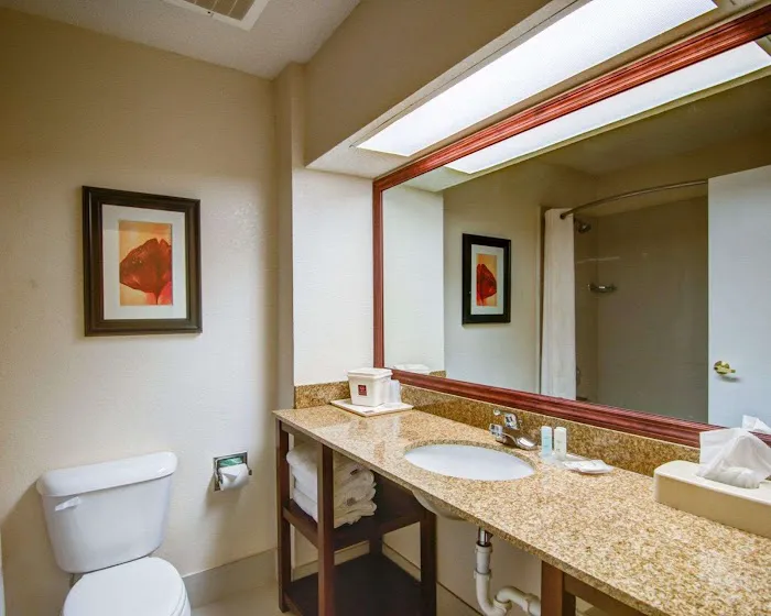 Comfort Suites Northside Hospital Gwinnett 4